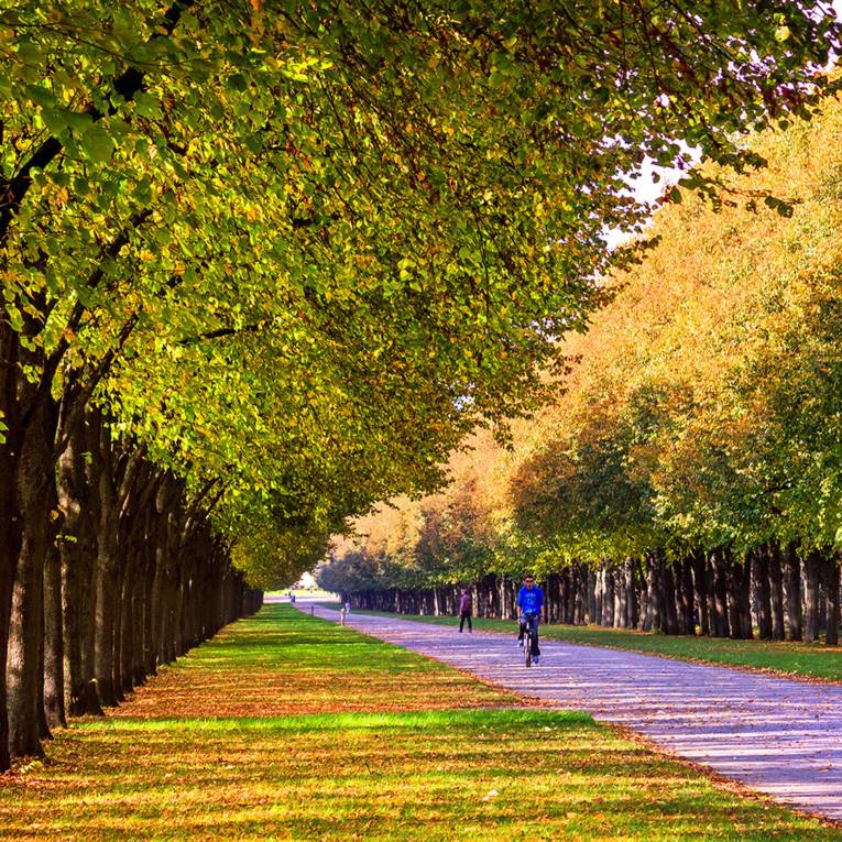 Fahrradfahren in der Herrenhäuser Allee